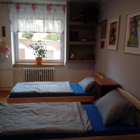 Apartman Na Slunecni Strani Trutnov Zewnętrze zdjęcie