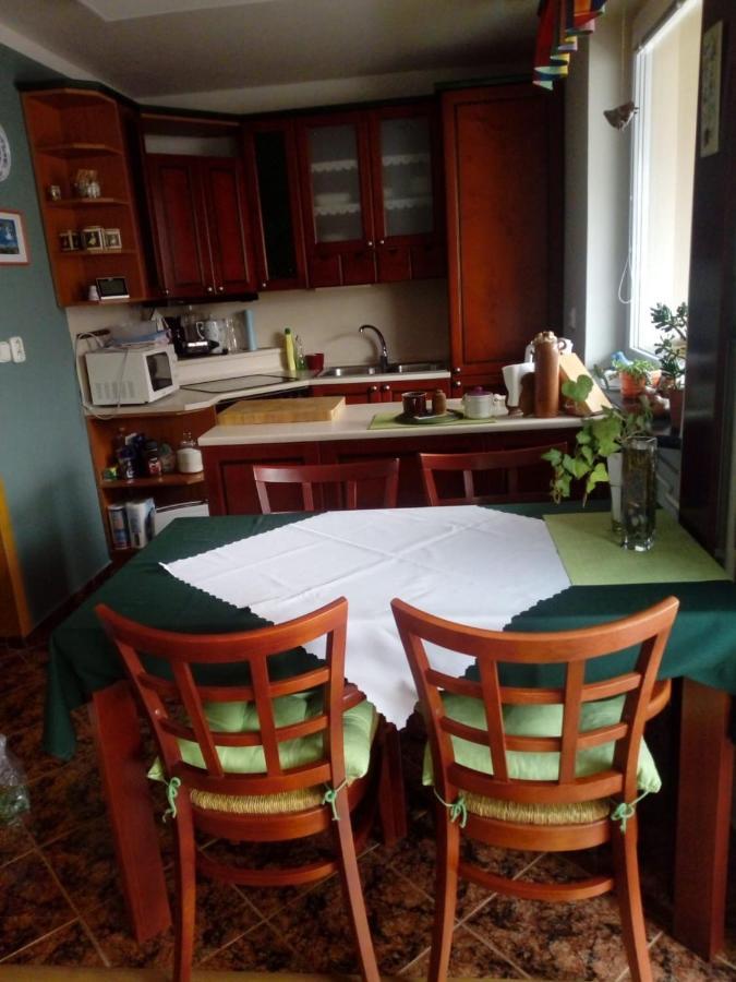 Apartman Na Slunecni Strani Trutnov Zewnętrze zdjęcie